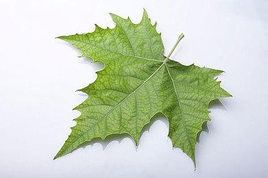 《战地2042》门户模式预告 经典与现代战争的融合